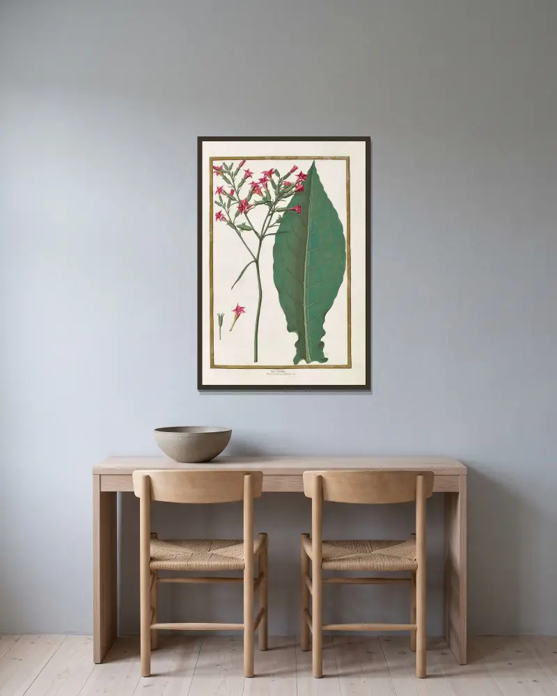 Schmetterlinge, Pflanzen, Blumen und Tiere, gemalt von Aubriet, Taf. 06 von Claude Aubriet gerahmt an einer Wand