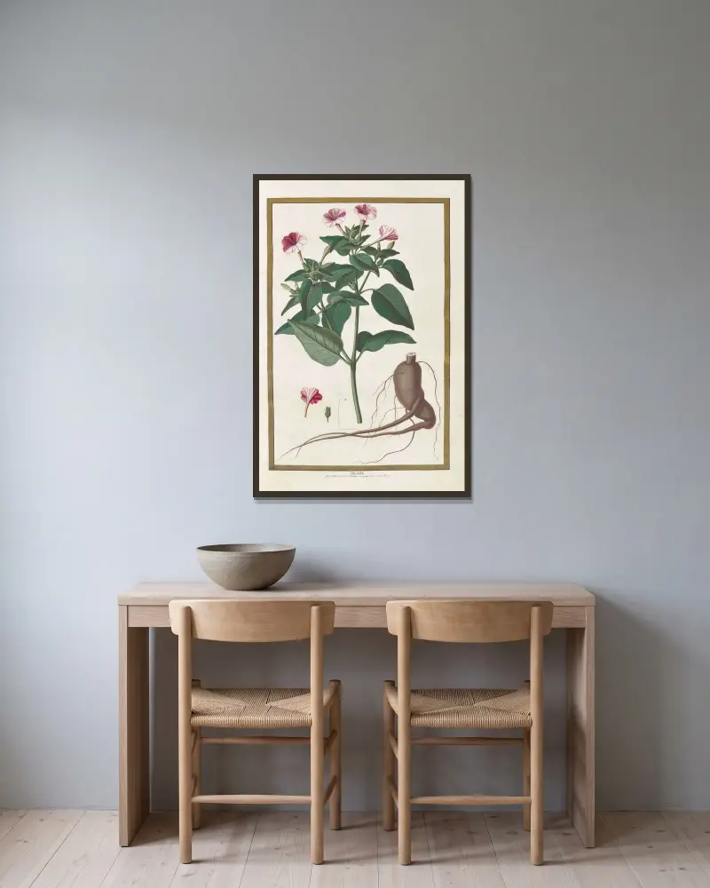 Fjärilar, växter, blommor och djur, målade av Aubriet, plansch 08 av Claude Aubriet inramad på en vägg