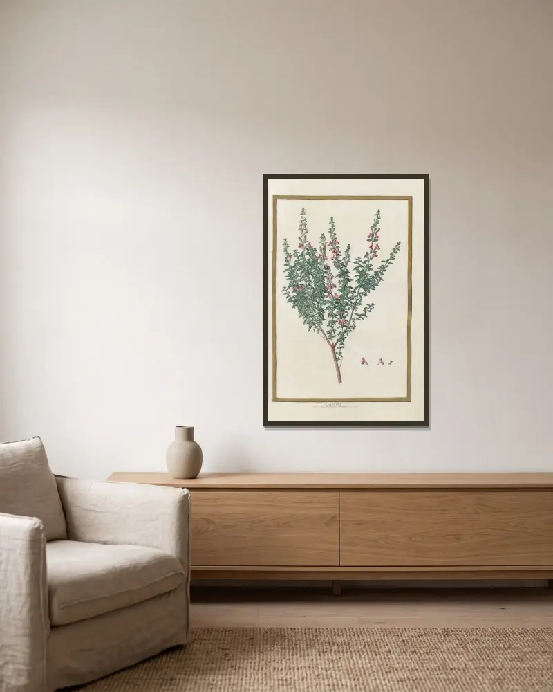 Schmetterlinge, Pflanzen, Blumen und Tiere, gemalt von Aubriet, Taf. 12 von Claude Aubriet gerahmt an einer Wand