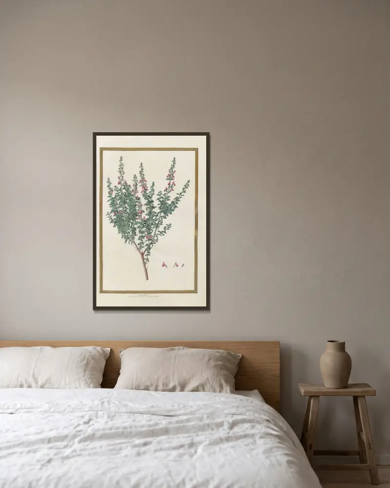 Schmetterlinge, Pflanzen, Blumen und Tiere, gemalt von Aubriet, Taf. 12 von Claude Aubriet gerahmt an einer Wand