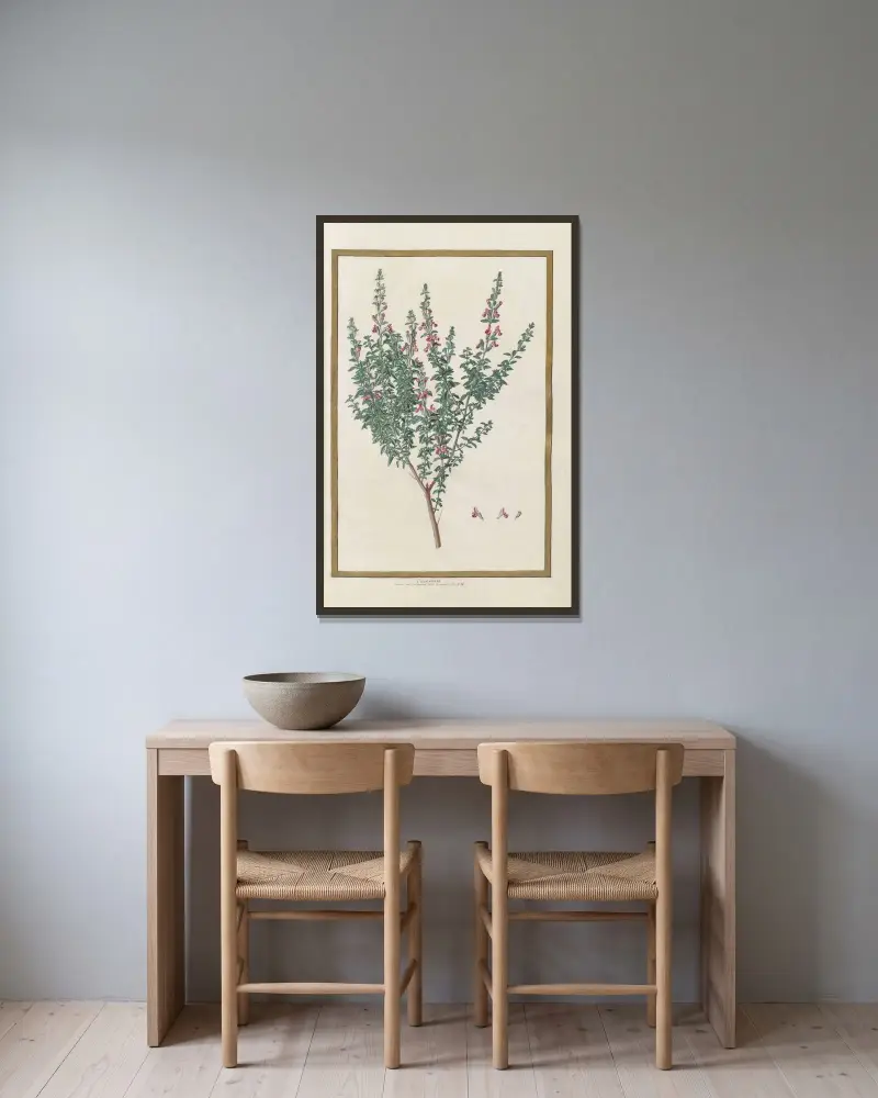 Schmetterlinge, Pflanzen, Blumen und Tiere, gemalt von Aubriet, Taf. 12 von Claude Aubriet gerahmt an einer Wand