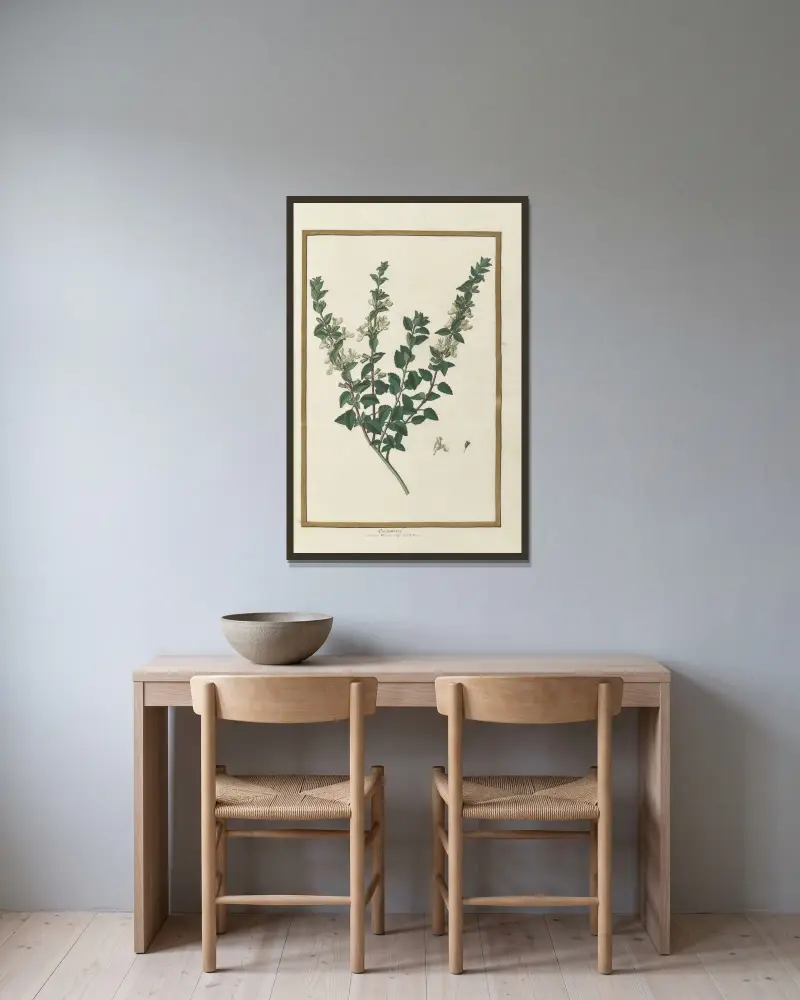 Fjärilar, växter, blommor och djur målade av Aubriet, plansch 13 av Claude Aubriet inramad på en vägg
