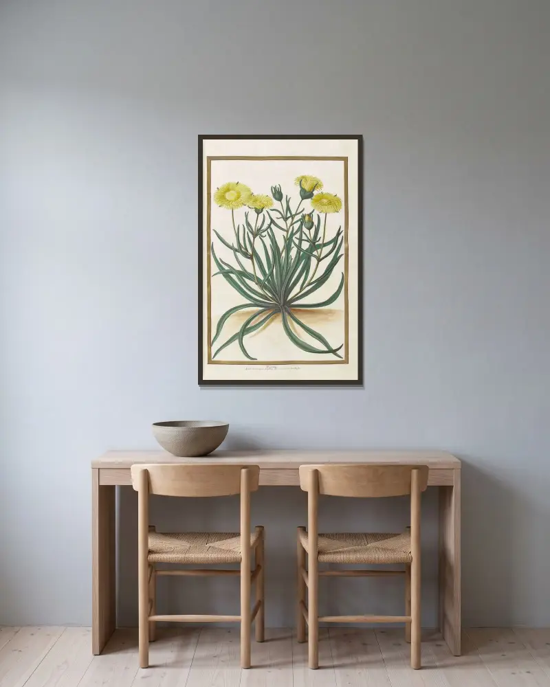 Fjärilar, växter, blommor och djur, målade av Aubriet, pl. 16 av Claude Aubriet inramad på en vägg