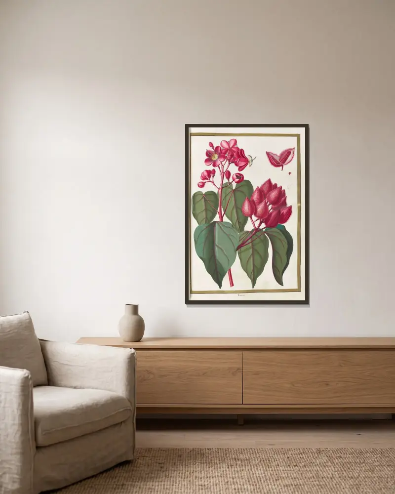 Schmetterlinge, Pflanzen, Blumen und Tiere, gemalt von Aubriet Tafel 24 von Claude Aubriet gerahmt an einer Wand