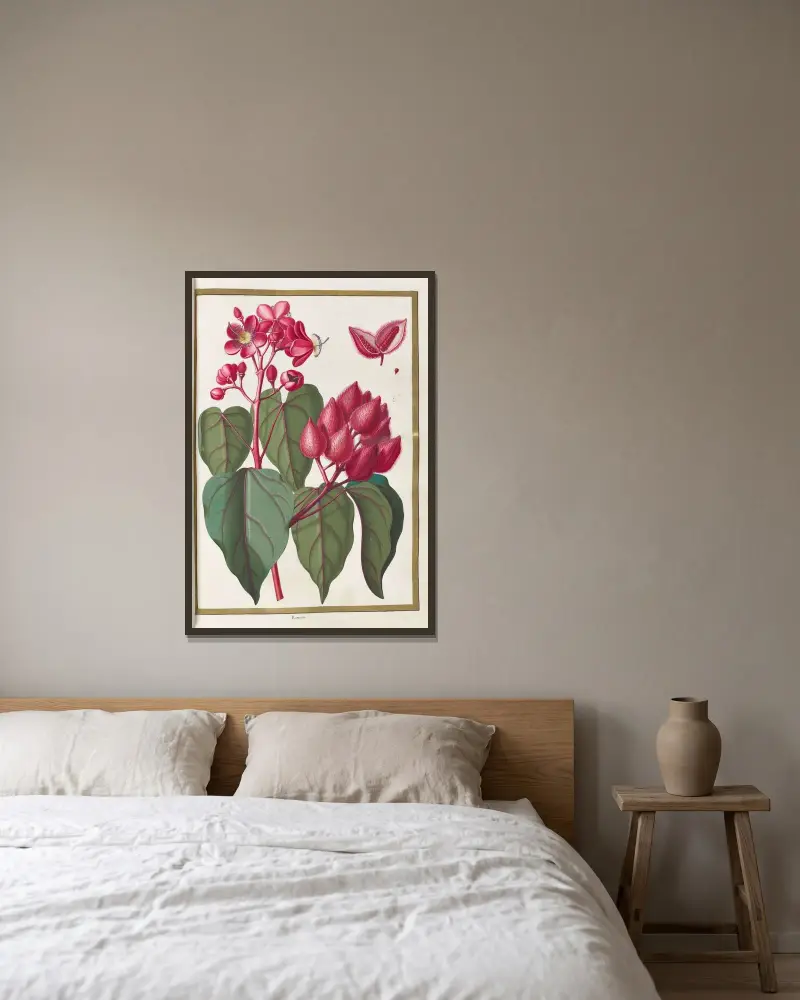 Schmetterlinge, Pflanzen, Blumen und Tiere, gemalt von Aubriet Tafel 24 von Claude Aubriet gerahmt an einer Wand