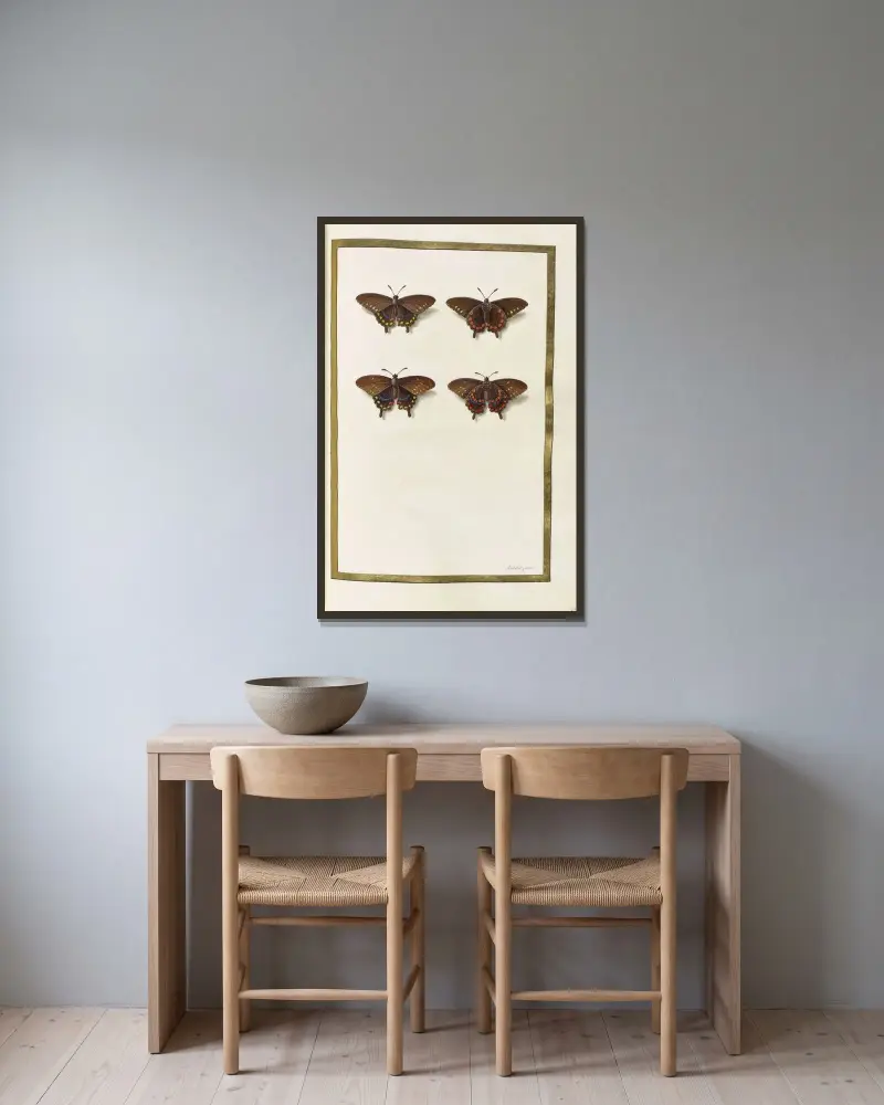 Schmetterlinge, Pflanzen, Blumen und Tiere, gemalt von Aubriet, Tafel 34 von Claude Aubriet gerahmt an einer Wand