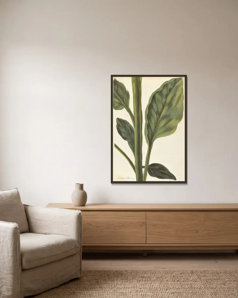 Främmande växter (Plantes étrangères), plansch 011 av Claude Aubriet inramad på en vägg