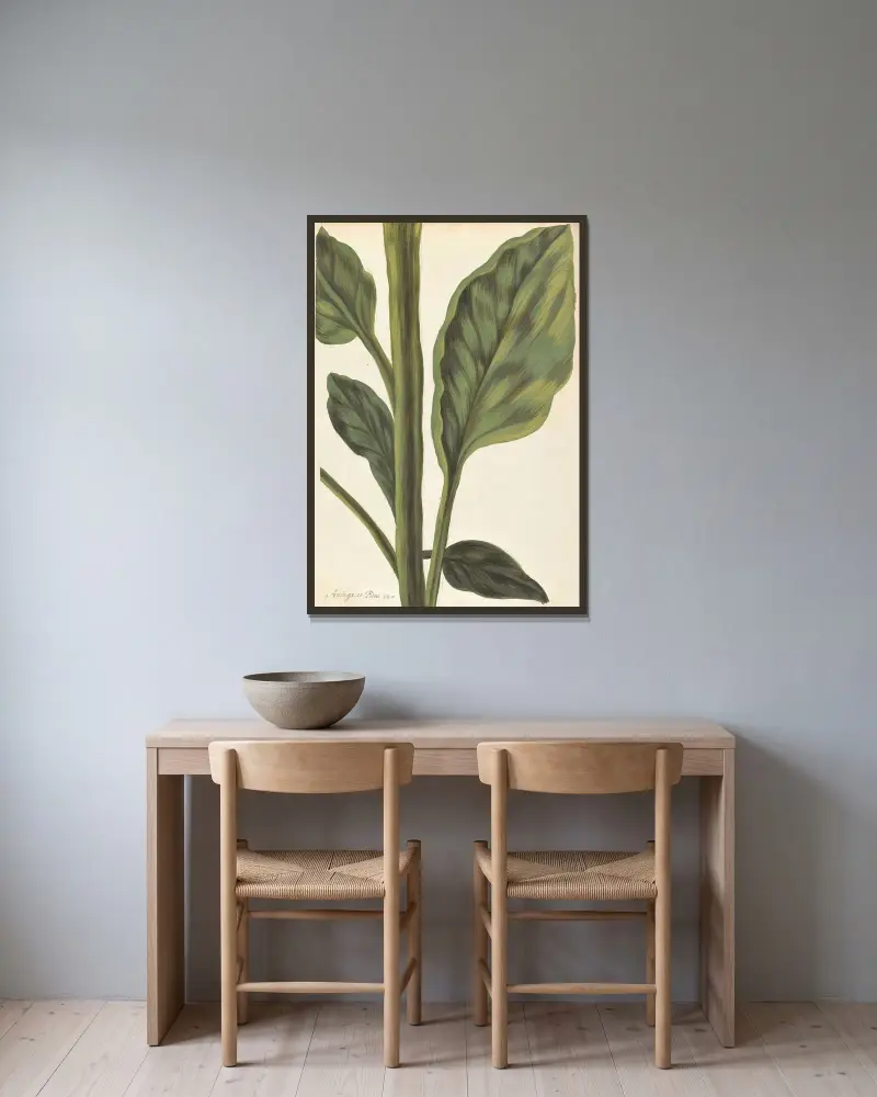 Främmande växter (Plantes étrangères), plansch 011 av Claude Aubriet inramad på en vägg