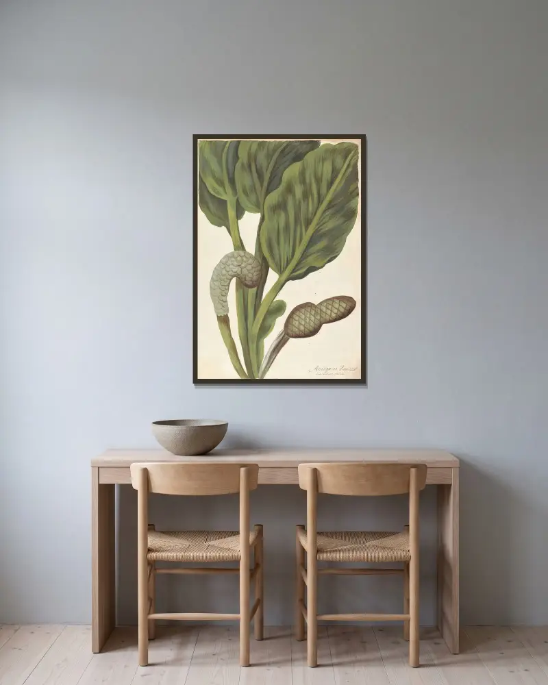 Plantes etrang par Aubriet Pl.012 av Claude Aubriet inramad på en vägg