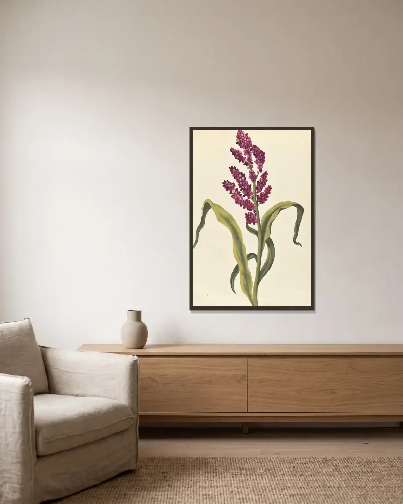Plantes etrang par Aubriet Pl.026 av Claude Aubriet inramad på en vägg