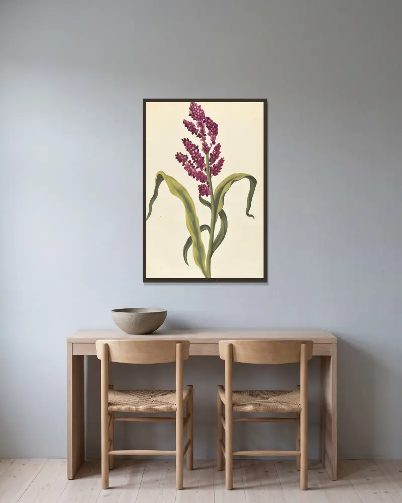 Plantes etrang par Aubriet Pl.026 av Claude Aubriet inramad på en vägg