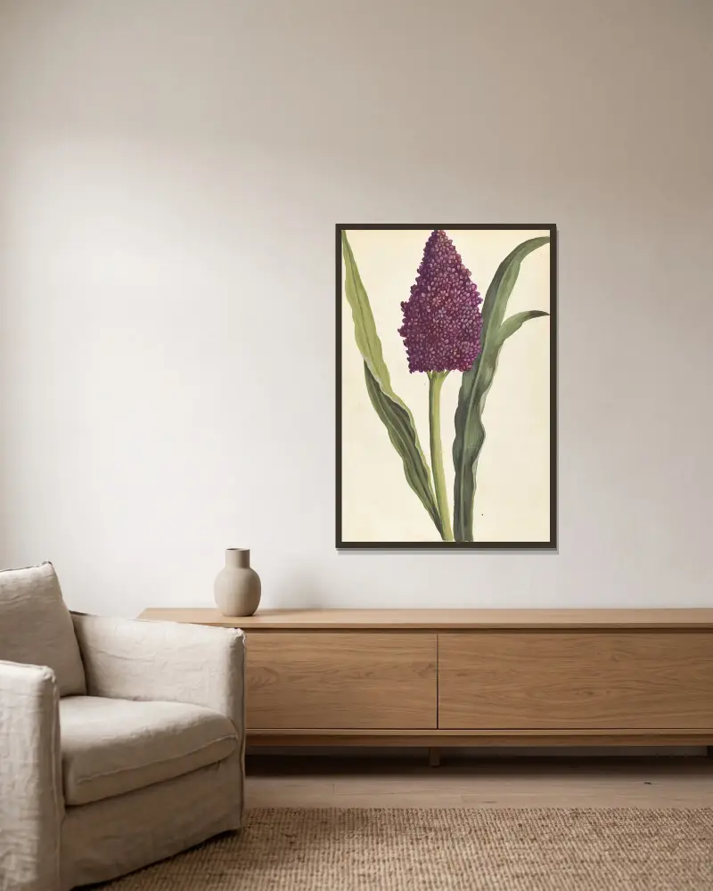 Plantes etrang par Aubriet Pl.027 av Claude Aubriet inramad på en vägg