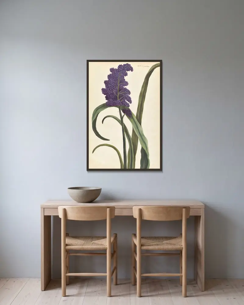 Plantes etrang par Aubriet Pl.028 av Claude Aubriet inramad på en vägg