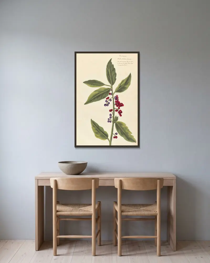 Plantes etrang par Aubriet Pl.031 av Claude Aubriet inramad på en vägg