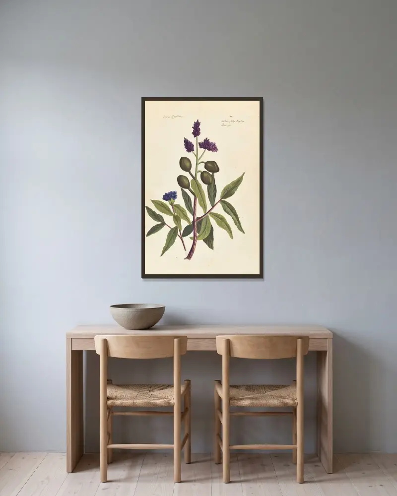 Plantes etrang par Aubriet Pl.036 av Claude Aubriet inramad på en vägg