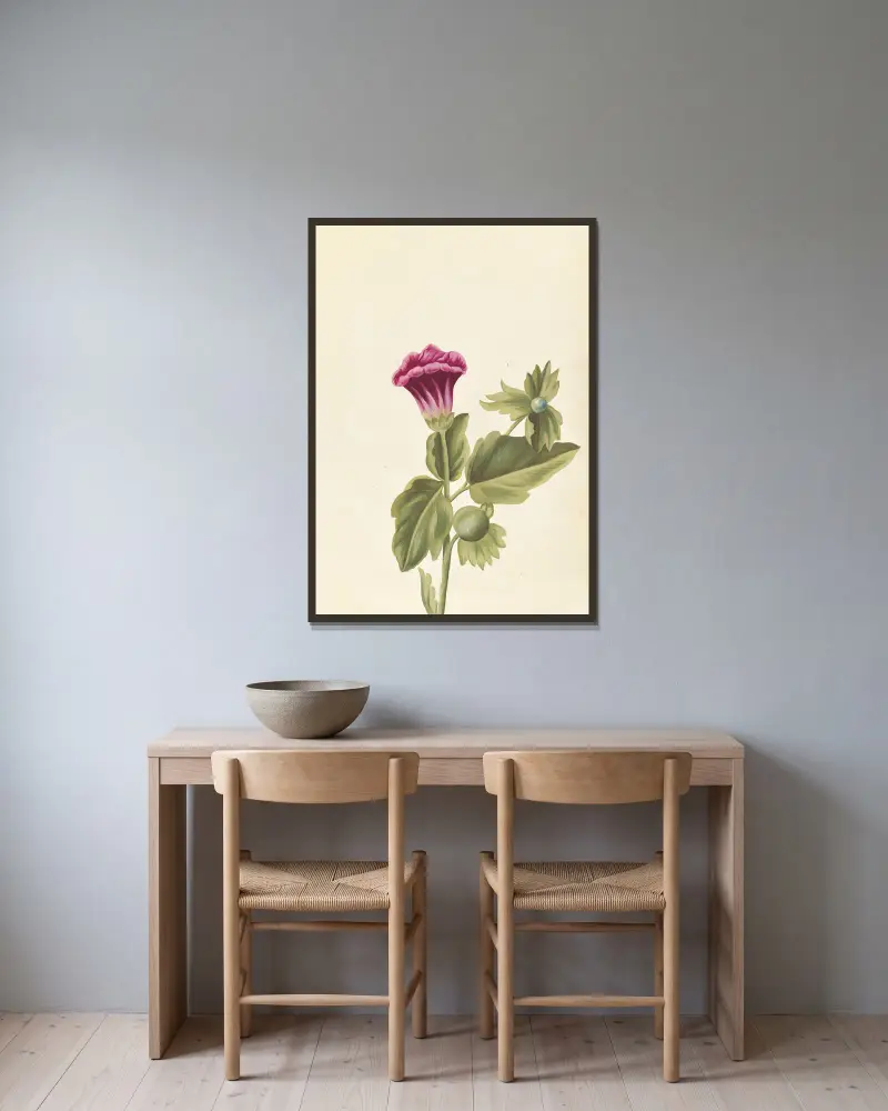 Plantes etrang par Aubriet Pl.042 av Claude Aubriet inramad på en vägg