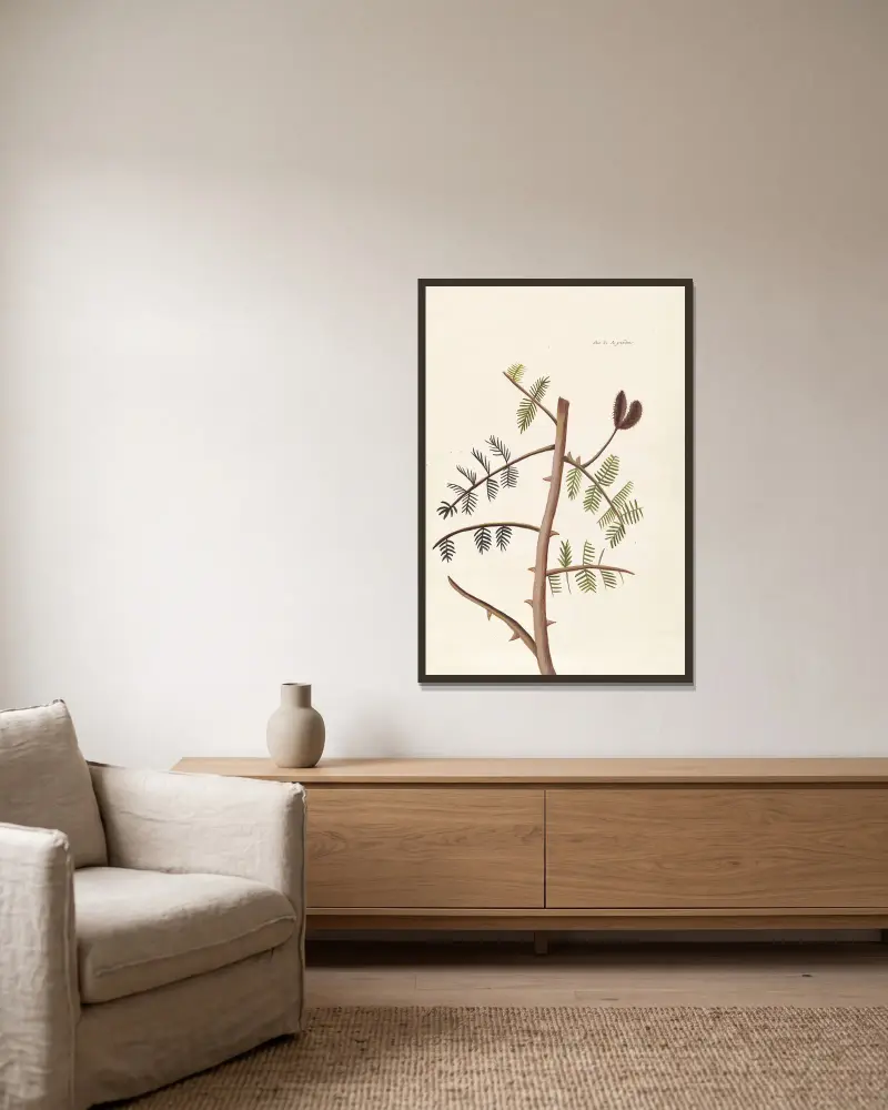 Plantes etrang par Aubriet Pl.045 av Claude Aubriet inramad på en vägg