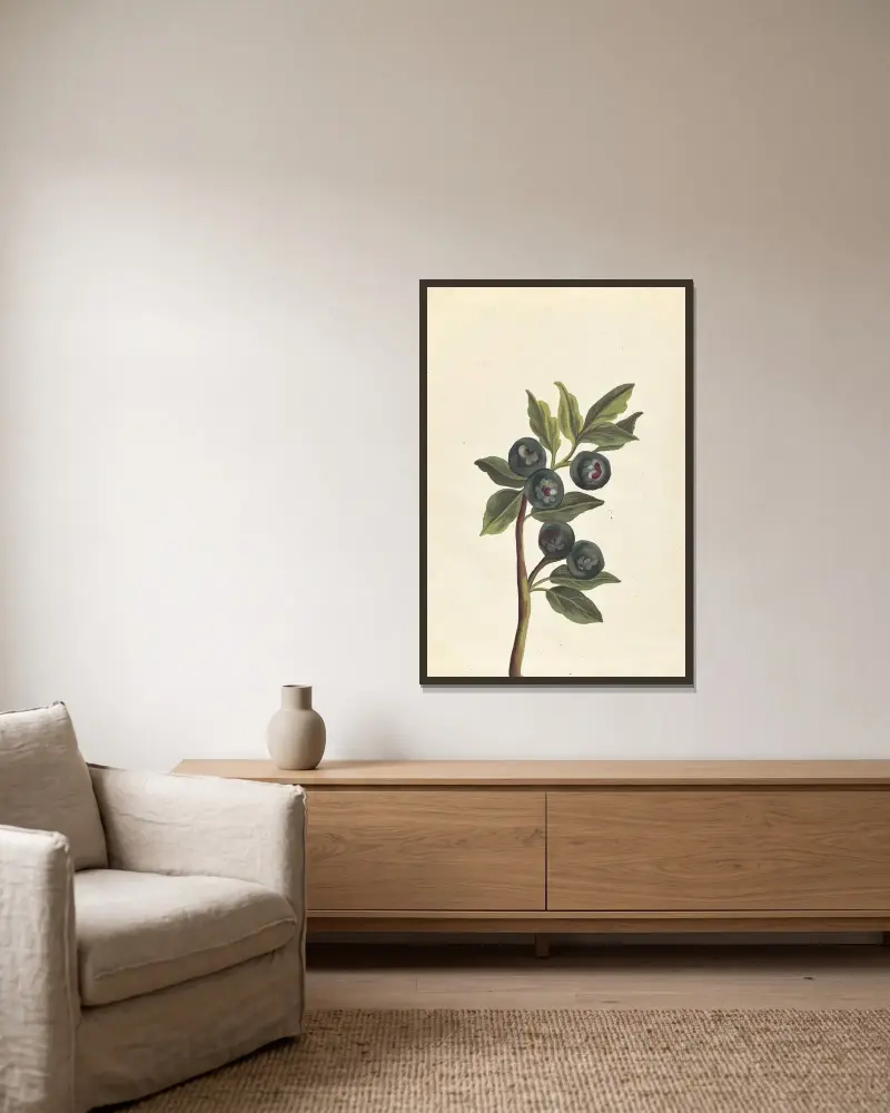 Främmande växter (Plantes etrang) Pl.047 av Claude Aubriet inramad på en vägg