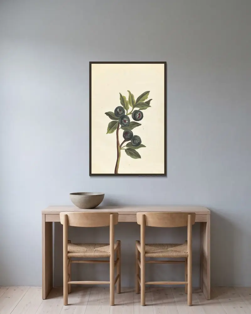 Främmande växter (Plantes etrang) Pl.047 av Claude Aubriet inramad på en vägg
