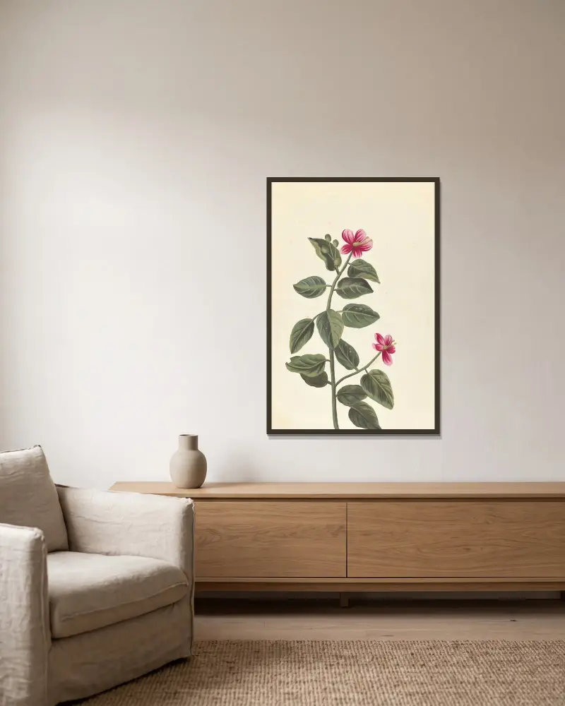 Främmande växter (Plantes etrang), plansch 057 av Claude Aubriet inramad på en vägg