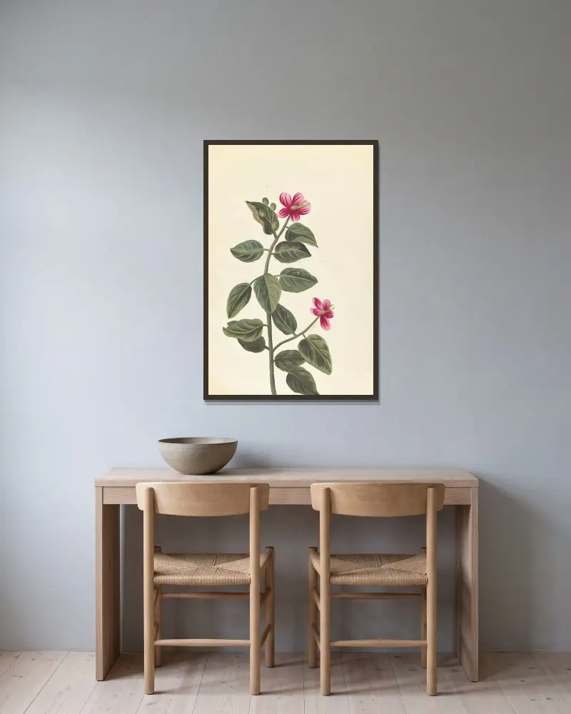 Främmande växter (Plantes etrang), plansch 057 av Claude Aubriet inramad på en vägg