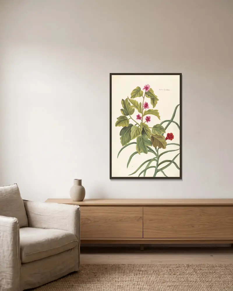 Plantes etrang par Aubriet Pl.061 av Claude Aubriet inramad på en vägg