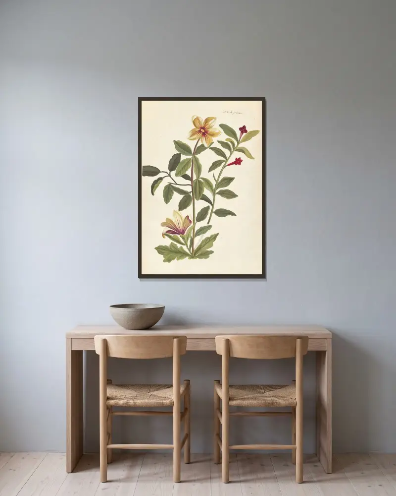 Plantes etrang par Aubriet Pl.064 av Claude Aubriet inramad på en vägg