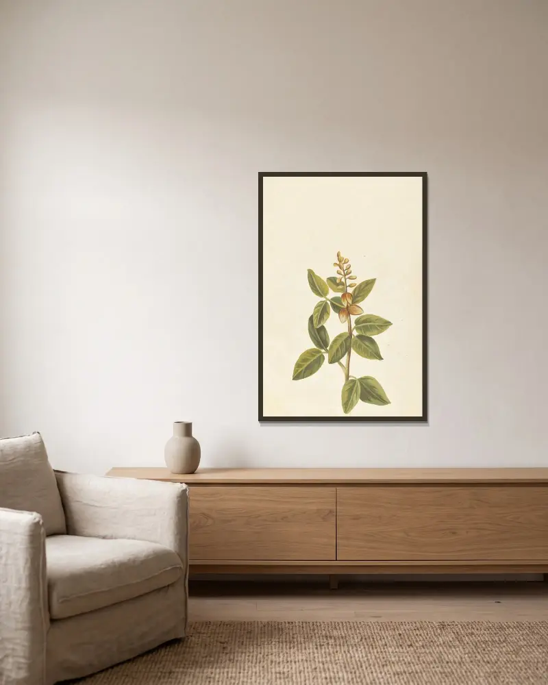 Fremde Pflanzen von Aubriet Taf. 065 von Claude Aubriet gerahmt an einer Wand