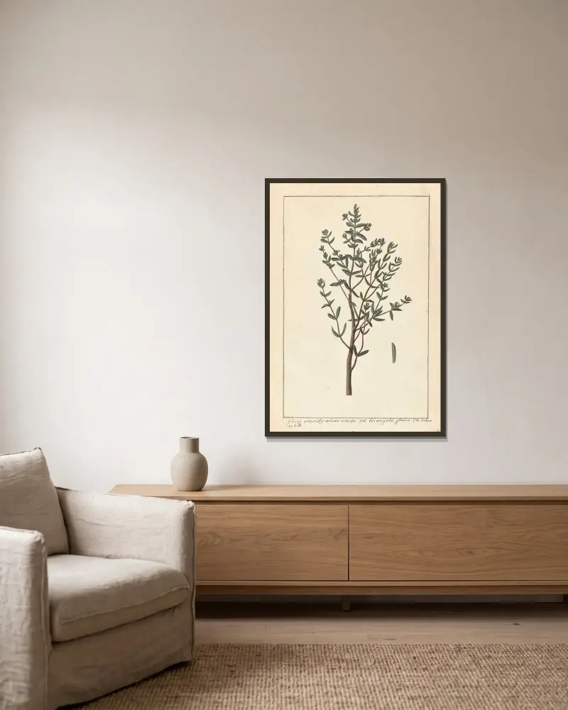 Plantes etrang par Aubriet Pl.068 av Claude Aubriet inramad på en vägg