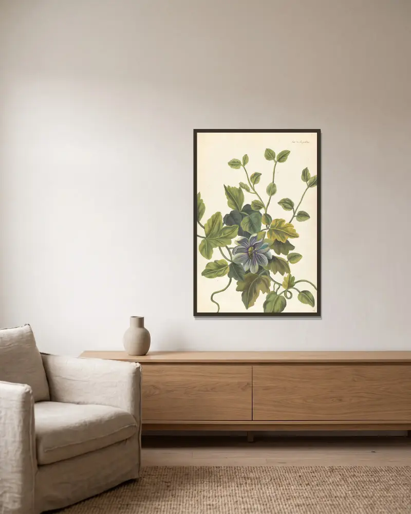 Plantes etrang par Aubriet Pl.071 av Claude Aubriet inramad på en vägg