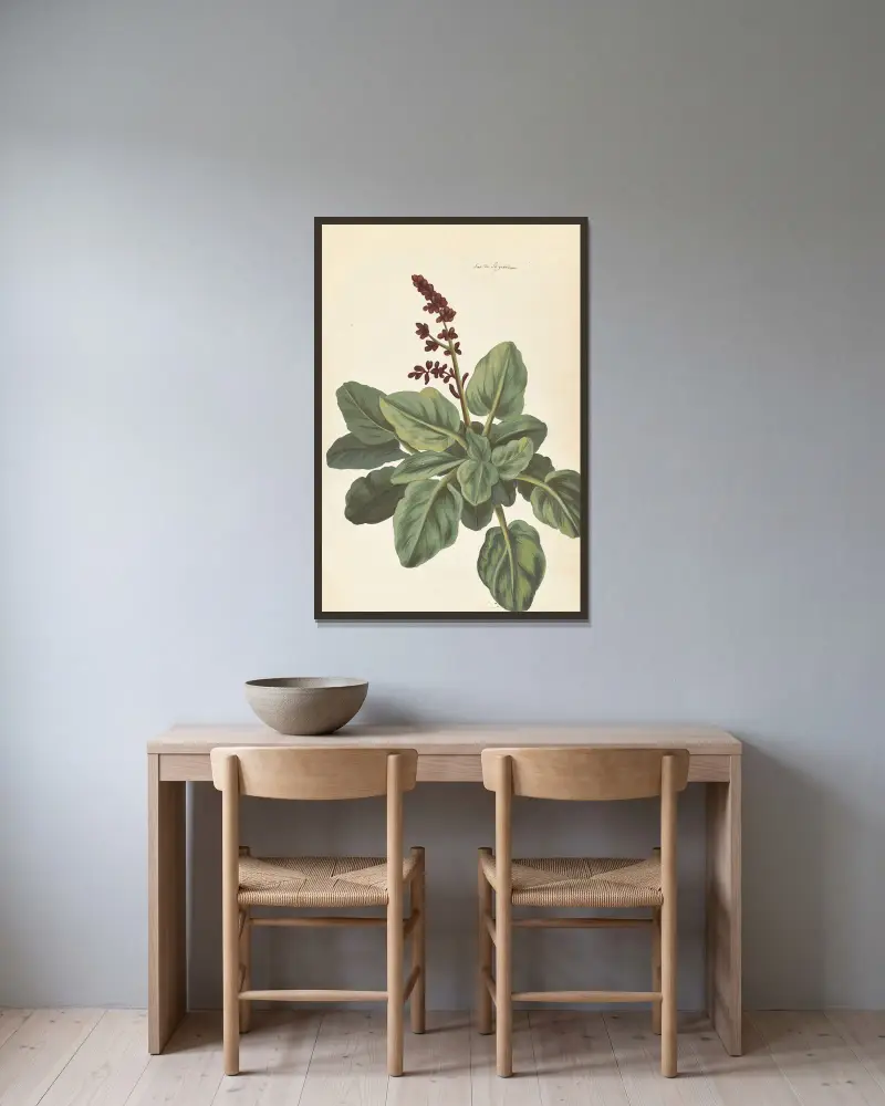 Plantes etrang par Aubriet Pl.076 av Claude Aubriet inramad på en vägg