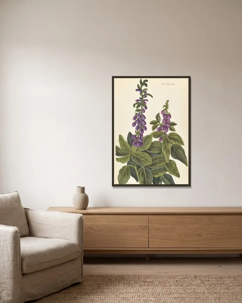 Plantes etrang par Aubriet Pl.080 av Claude Aubriet inramad på en vägg