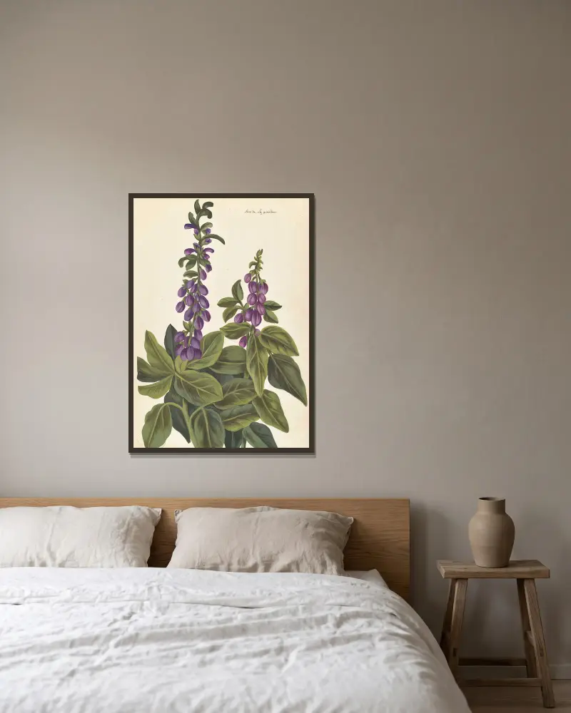 Plantes etrang par Aubriet Pl.080 av Claude Aubriet inramad på en vägg