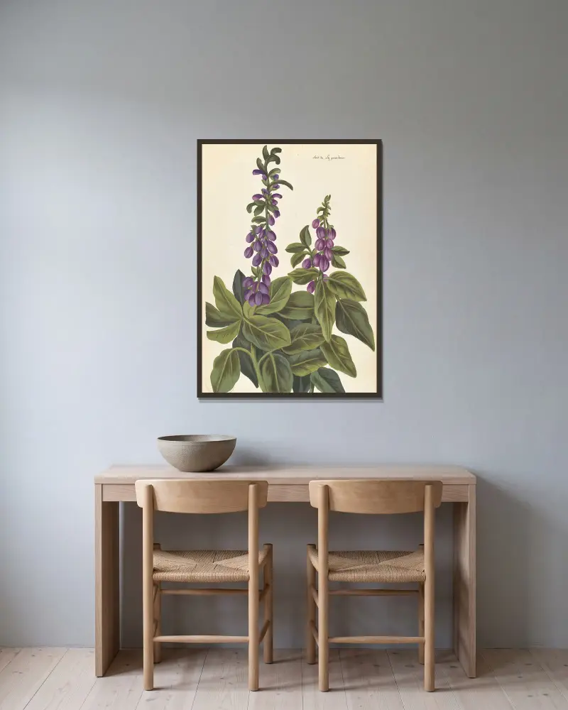 Plantes etrang par Aubriet Pl.080 av Claude Aubriet inramad på en vägg