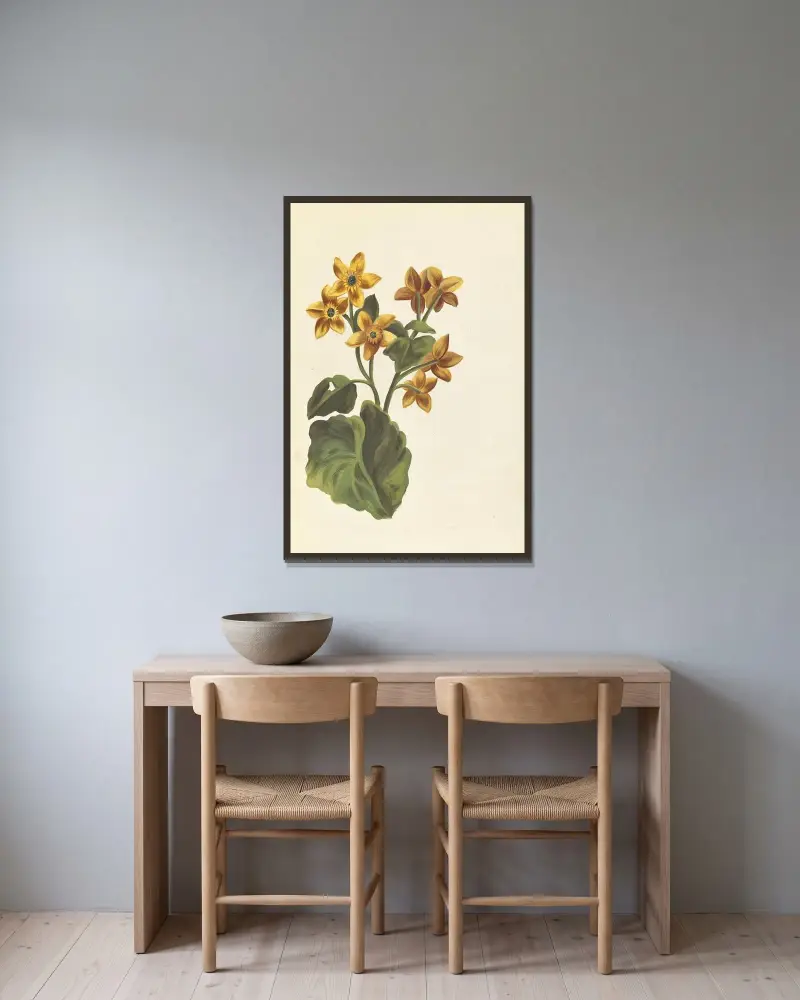 Plantes etrang par Aubriet Pl.091 av Claude Aubriet inramad på en vägg