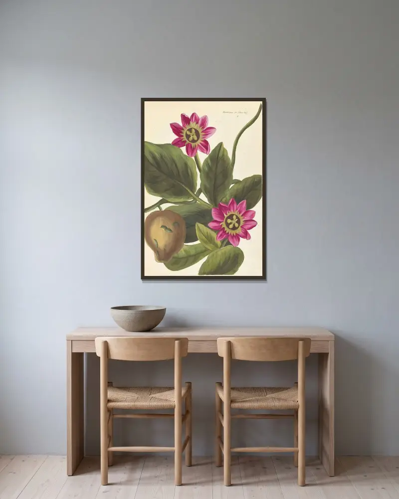 Främmande växt (Plantes etrang), plansch 095 av Claude Aubriet inramad på en vägg