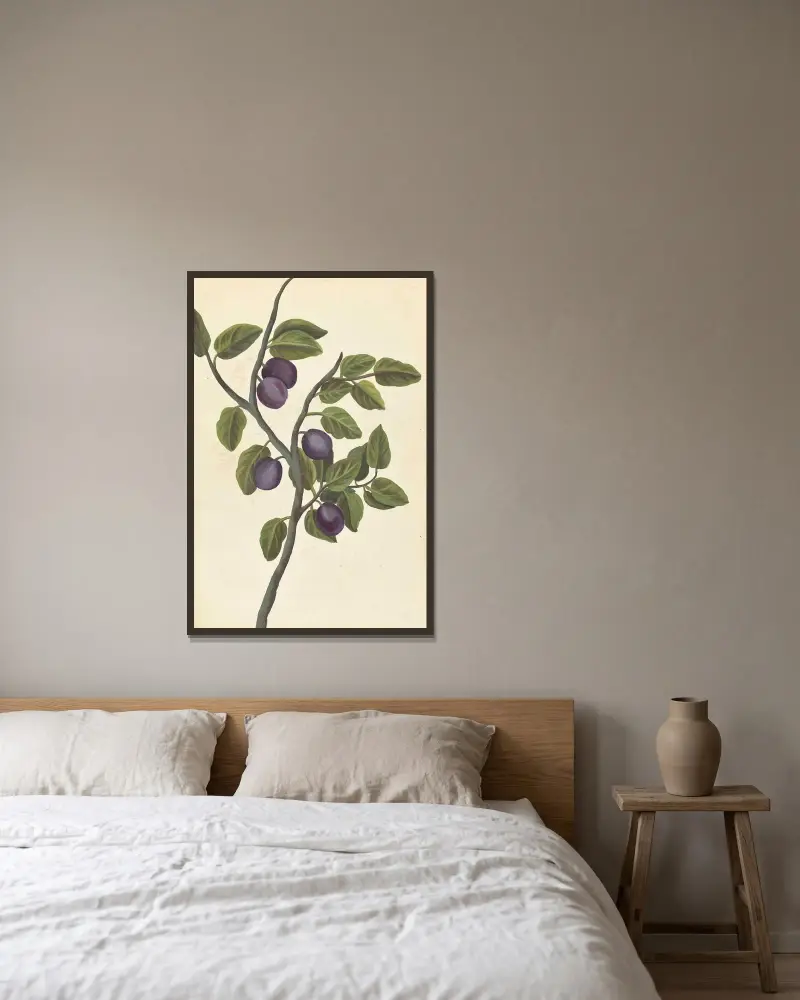 Plantes etrang par Aubriet Pl.099 av Claude Aubriet inramad på en vägg