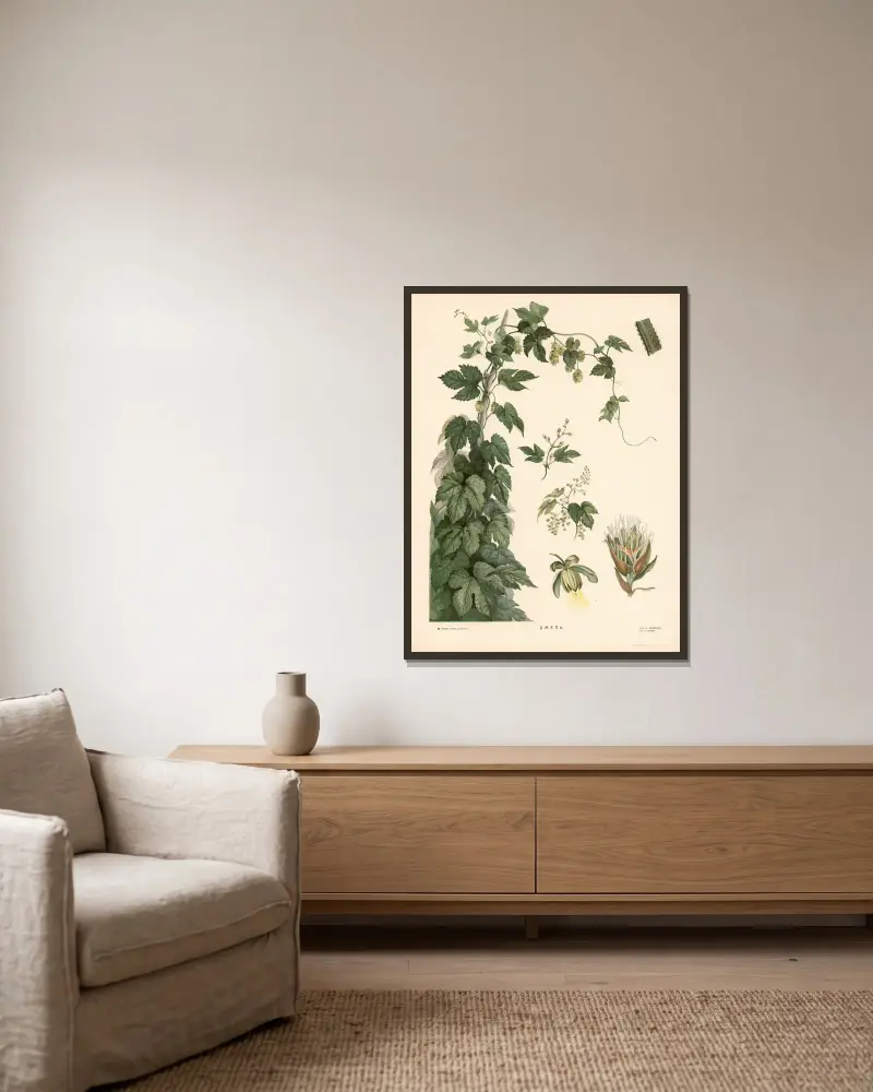 Hopfen von T-va I. D. Sytina gerahmt an einer Wand