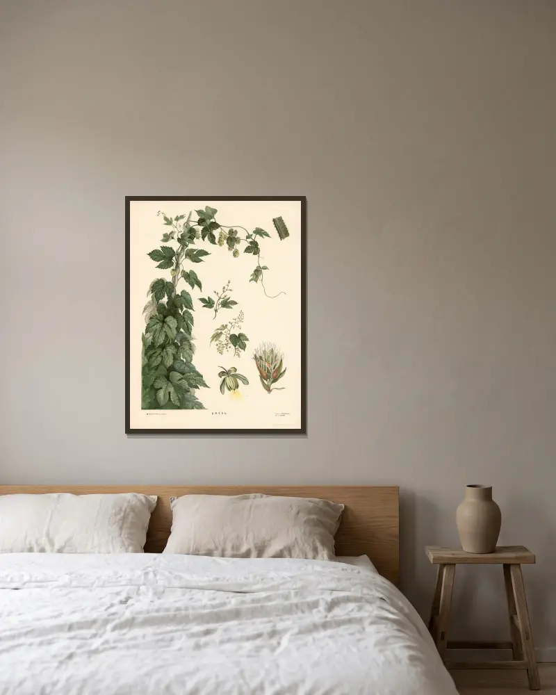 Hopfen von T-va I. D. Sytina gerahmt an einer Wand