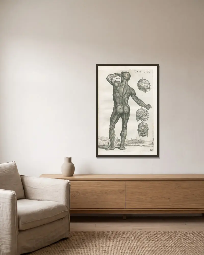 Tabulae anatomicae a celeberrimo pictore Petro Berretino Cortonensi Pl.15 av Pietro da Cortona inramad på en vägg