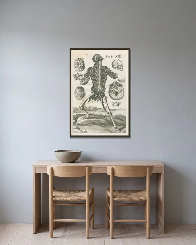 Tabulae anatomicae a celeberrimo pictore Petro Berretino Cortonensi Pl.14 av Pietro da Cortona inramad på en vägg