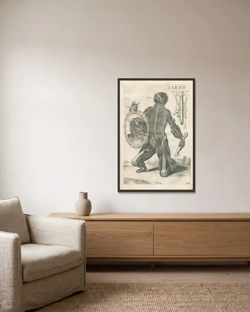 Tabulae anatomicae a celeberrimo pictore Petro Berretino Cortonensi Pl.12 av Pietro da Cortona inramad på en vägg