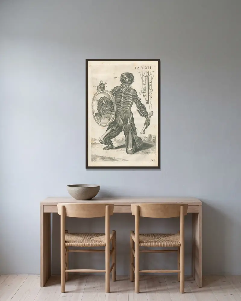 Tabulae anatomicae a celeberrimo pictore Petro Berretino Cortonensi Pl.12 av Pietro da Cortona inramad på en vägg
