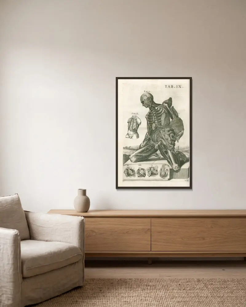 Tabulae anatomicae a celeberrimo pictore Petro Berretino Cortonensi Pl.09 av Pietro da Cortona inramad på en vägg