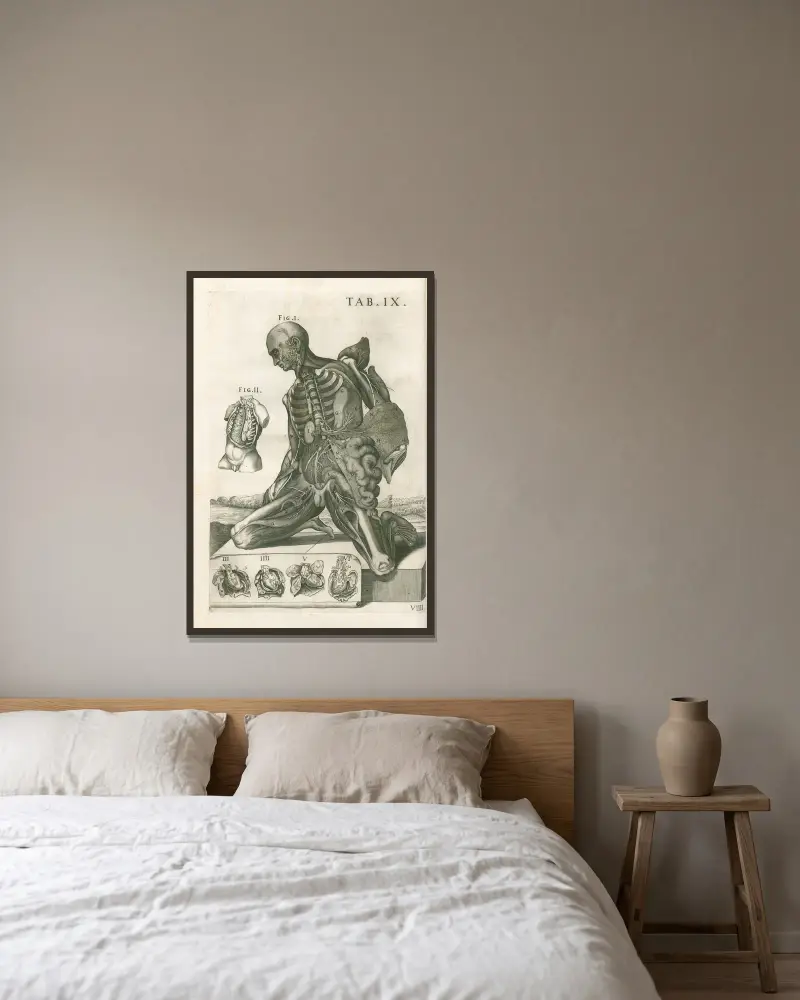Tabulae anatomicae a celeberrimo pictore Petro Berretino Cortonensi Pl.09 av Pietro da Cortona inramad på en vägg