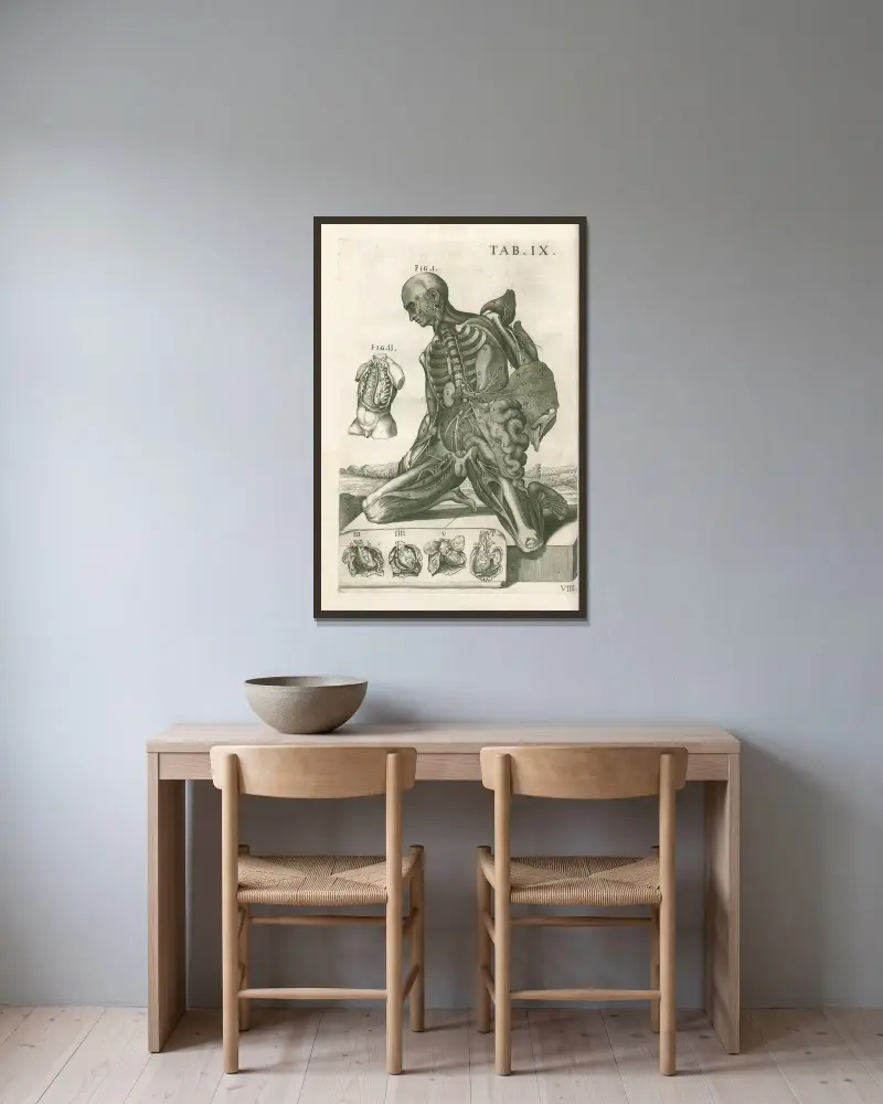 Tabulae anatomicae a celeberrimo pictore Petro Berretino Cortonensi Pl.09 av Pietro da Cortona inramad på en vägg