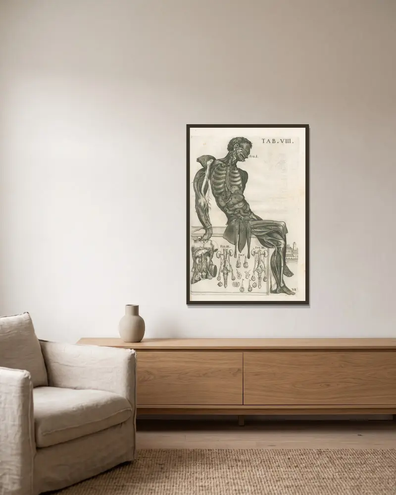 Tabulae anatomicae a celeberrimo pictore Petro Berretino Cortonensi Pl.08 av Pietro da Cortona inramad på en vägg