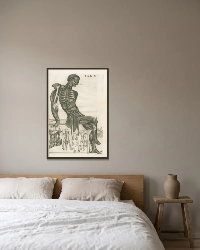 Tabulae anatomicae a celeberrimo pictore Petro Berretino Cortonensi Pl.08 av Pietro da Cortona inramad på en vägg