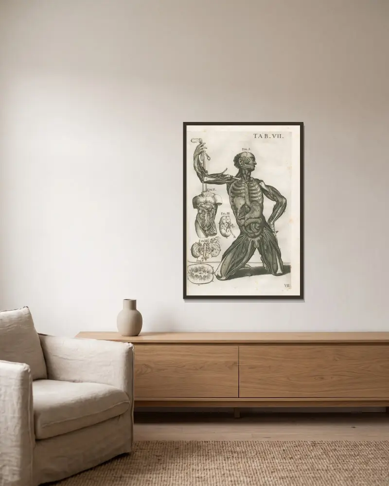 Tabulae anatomicae a celeberrimo pictore Petro Berretino Cortonensi Pl.07 av Pietro da Cortona inramad på en vägg