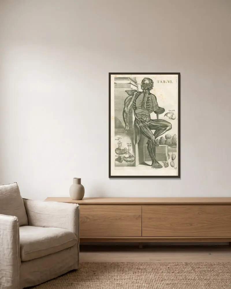Tabulae anatomicae a celeberrimo pictore Petro Berretino Cortonensi Pl.06 av Pietro da Cortona inramad på en vägg